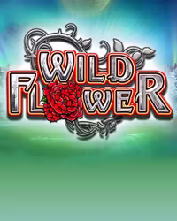 Wild Flower