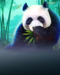Panda Blitz