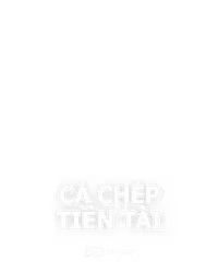 Cá Chép Tiền Tài