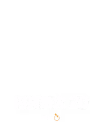 闪亮热火 20