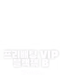 프리배팅 VIP 블랙잭 B