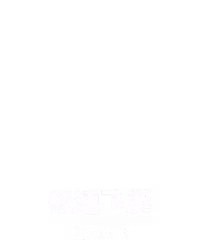 极速飞艇