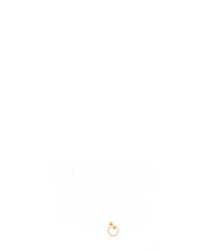 Disco Lady