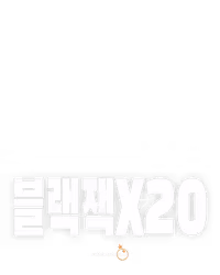 블랙잭 20