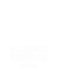 Dragon Dragon