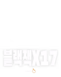 블랙잭 17
