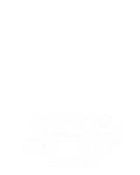 极速 VIP 二十一点 Y