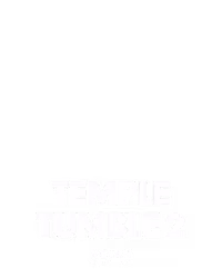 Temple Tumble 2