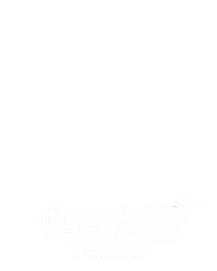 世界杯轮盘