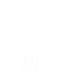 虎爪