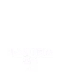 라스베이거스 현금