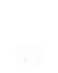 Panda Cuisine Mines