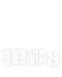 블랙잭 VIP 29