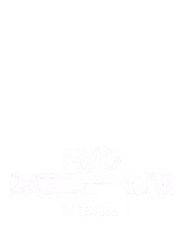 Evo 极速二十一点 3