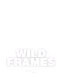 Wild Frames