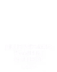 Blue Wizard Cash n Collect