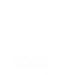 水牛闪电II