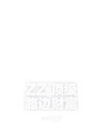 ZZ 顶级路边财富