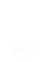 Buffalo Blitz II