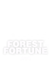 Forest Fortune
