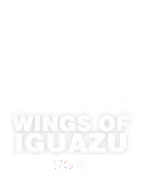 Wings of Iguazu