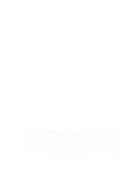 极速南越彩