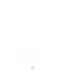Moonshot