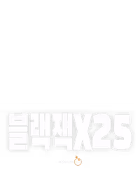 블랙잭 25