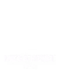 Mega Heist