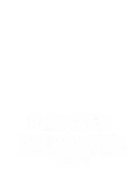 Pirates on Board