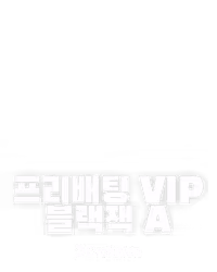 프리배팅 VIP 블랙잭 A