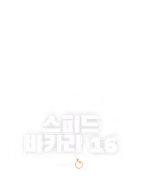 스피드 바카라 16