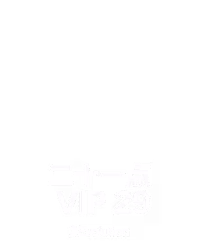⼆⼗⼀点 VIP 29