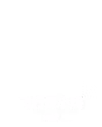 飞行员小鸡
