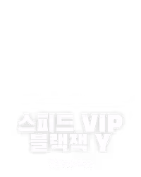 스피드 VIP 블랙잭 Y
