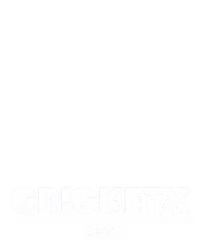 CricketX