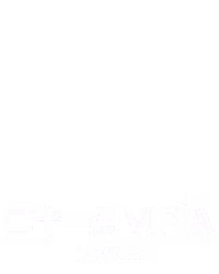 ⼆⼗⼀点 VIP A