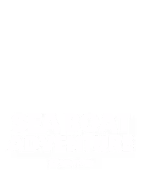 Sea Boat Adventure