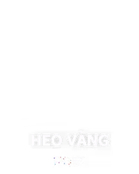 Heo Vàng