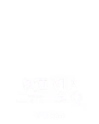 极速 VIP 二十一点 Q