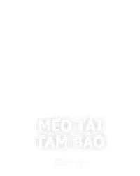 Mèo Tài Tầm Bảo