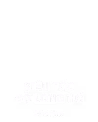 Siêu Tốc Độ Long Hổ