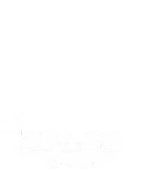 레이스 트랙