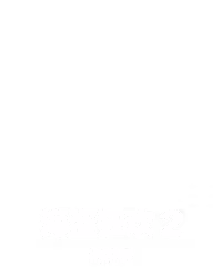 海盗狂欢 2