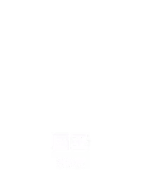 国王