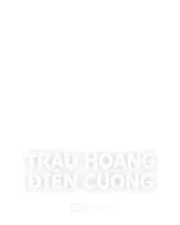 Trâu Hoang Điên Cuồng