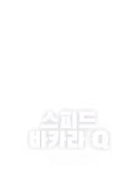 스피드 바카라 Q