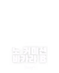 노 커미션 바카라 B