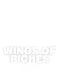 Wings of Riches