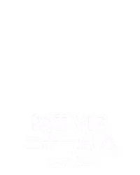 极速 VIP 二十一点 A